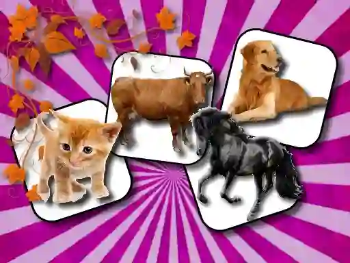Domestic Animal Memory Challenge — 無料オンラインゲーム