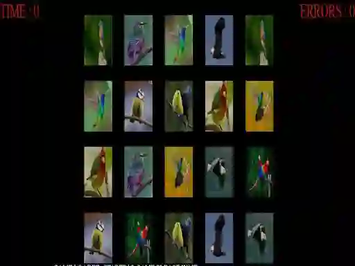 Memorize the birds — 無料オンラインゲーム