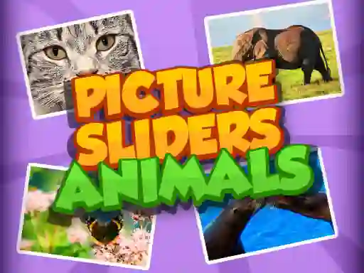 Picture Slider Animals — 無料オンラインゲーム