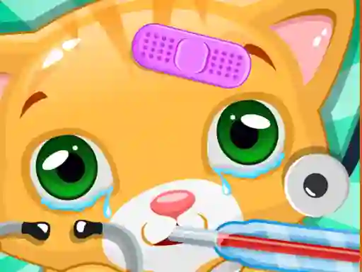 Little Cat Doctor — 無料オンラインゲーム