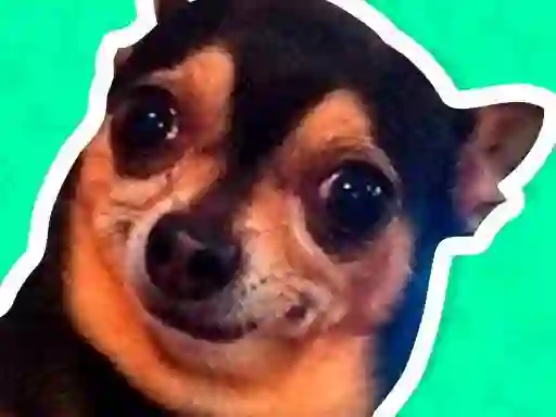What meme dog are you ? — 無料オンラインゲーム