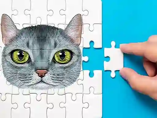 Abyssinian Puzzle Challenge — 無料オンラインゲーム