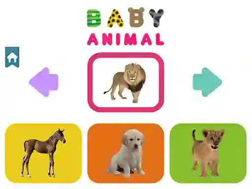 Baby Animal — 無料オンラインゲーム