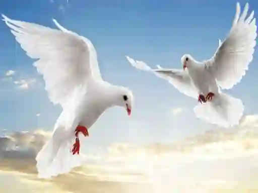 ゲームFlying Birdsオンライン