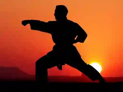 Karate Sunset Warriors — 無料オンラインゲーム