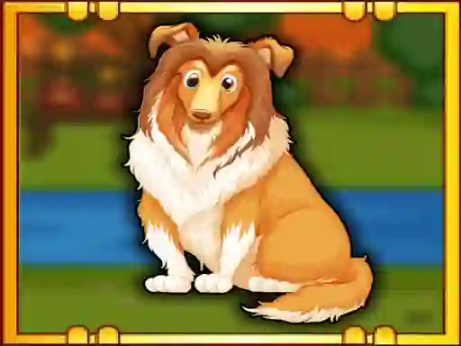 Bernese Mountain Dog Escape — 無料オンラインゲーム
