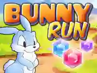 Bunny Run — 無料オンラインゲーム