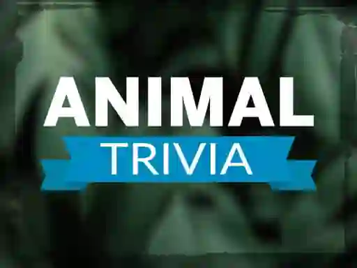 Animal Trivia — 無料オンラインゲーム