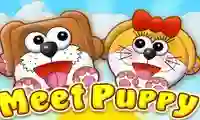 Meet Puppy — 無料オンラインゲーム