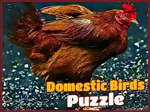 ゲームDomestic Birds Puzzleオンライン