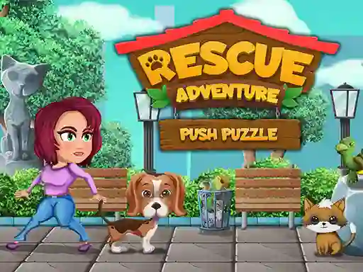Rescue Adventure Push Puzzle — 無料オンラインゲーム