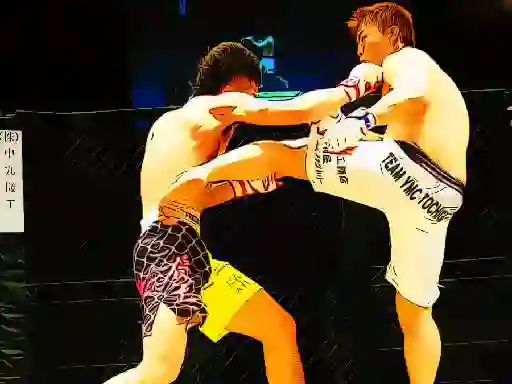 UFC Fighting Match Jigsaw — 無料オンラインゲーム