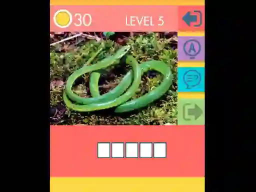 15 Picture Quiz — 無料オンラインゲーム