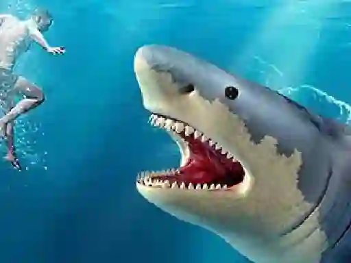 Shark Hunting — 無料オンラインゲーム