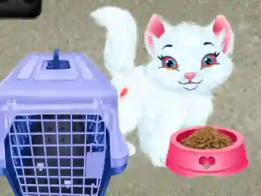 Baby Taylor Pet Care — 無料オンラインゲーム