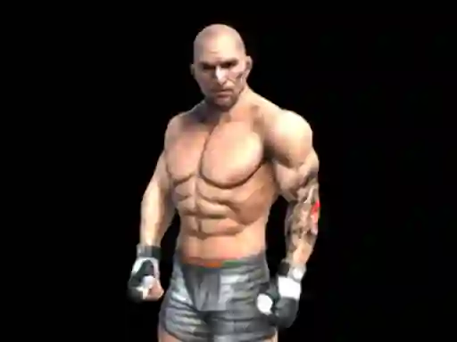 Fight Arena Online — 無料オンラインゲーム