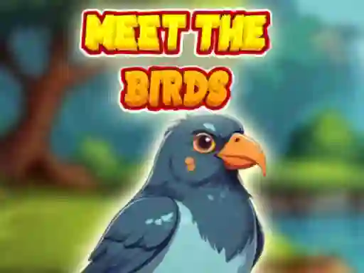 Meet The Birds — 無料オンラインゲーム