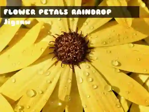 Flower Petals Raindrop Jigsaw — 無料オンラインゲーム