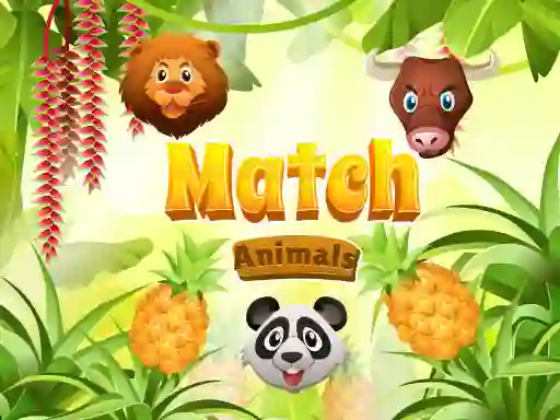 Match Animals — 無料オンラインゲーム