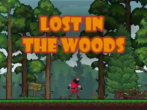 Lost in the Woods — 無料オンラインゲーム