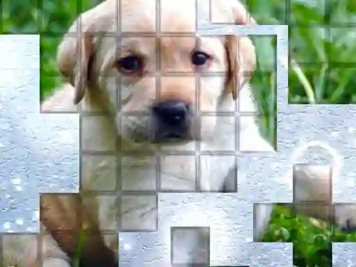 PicPu Dog — 無料オンラインゲーム