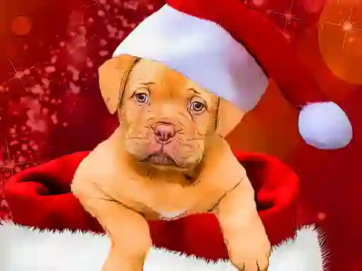 ゲームChristmas Dogs Stylesオンライン