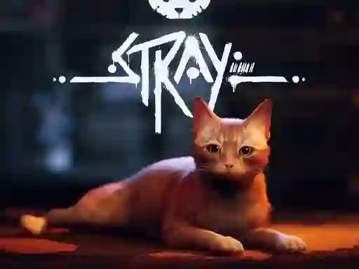 Stray — 無料オンラインゲーム