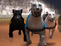 ゲームグレイハウンドレースオンライン