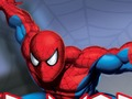 ゲームスパイダーウォリアー オンライン