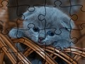 ゲームジグソーパズル: 猫オンライン