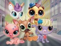 ゲーム小さなペットショップ: かくれんぼ オンライン