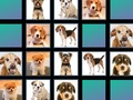 ゲーム動物の記憶 オンライン