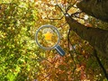 ゲーム隠された金の星オンライン