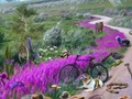 ゲーム消えた軌跡 オンライン
