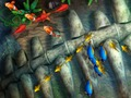 ゲーム釣り王 オンライン