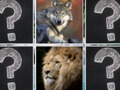 ゲーム記憶マッチジャングル動物オンライン