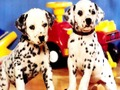 ゲーム子犬ペアパズルオンライン