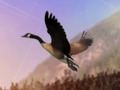 ゲームアヒル狩りオンライン