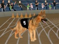 ゲームクレイジードッグレーシングフィーバーオンライン