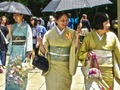 ゲーム日本の蝶100羽 オンライン
