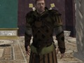 ゲームパルティアの戦士オンライン
