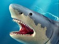 ゲームサメ狩りオンライン