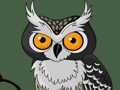 ゲームかわいいフクロウの記憶オンライン