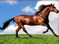 ゲーム動物ジグソーパズル 馬オンライン