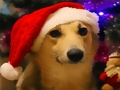 ゲーム面白いクリスマスの犬 オンライン