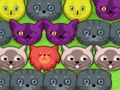 ゲームポップポップ子猫オンライン