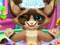 ゲーム子猫風呂 オンライン