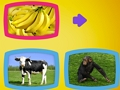 ゲーム動物は何を食べますか？オンライン