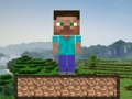 ゲームマインクラフトサバイバル オンライン