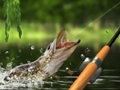 ゲーム朝の漁獲オンライン